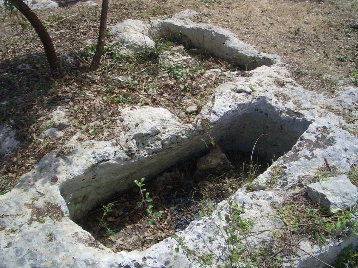 Mundus Terrae Villa Casa della Contessa Luaran gambar