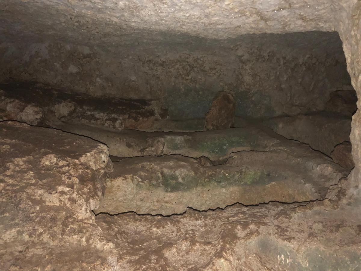 Mundus Terrae Villa Casa della Contessa Luaran gambar